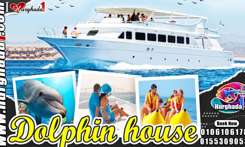 dolphin house trip hurghada