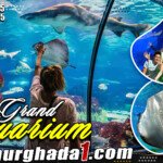 hurghada grand aquarium trip
